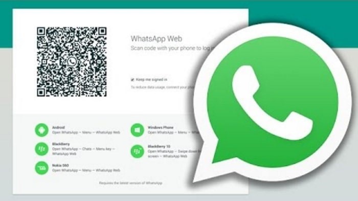 whatscan-for-whatsapp